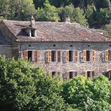 Chambre D'Hotes La Marlotte Castello-di-Rostino Екстериор снимка