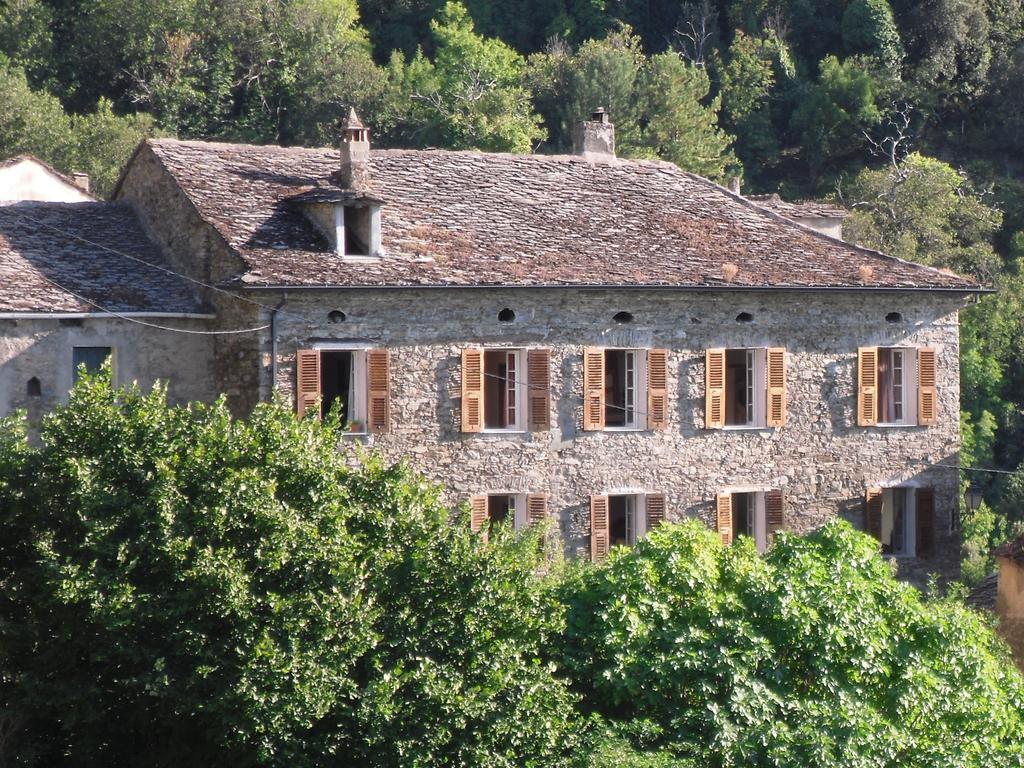 Chambre D'Hotes La Marlotte Castello-di-Rostino Екстериор снимка